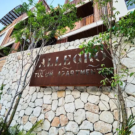Allegro Private Pools Comfort And Privacy *