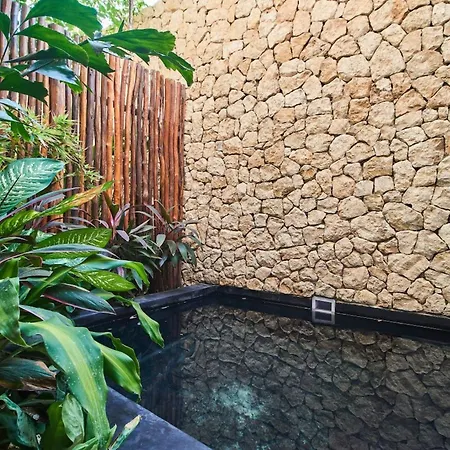 Apartment Allegro Private Pools Comfort And Privacy Tulum