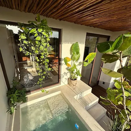 Allegro Private Pools Comfort And Privacy Apartment Tulum