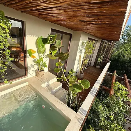 Allegro Private Pools Comfort And Privacy Tulum