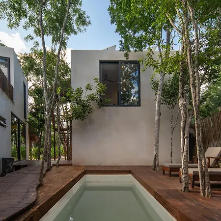 Eco-friendly En La Selva De Tulum
