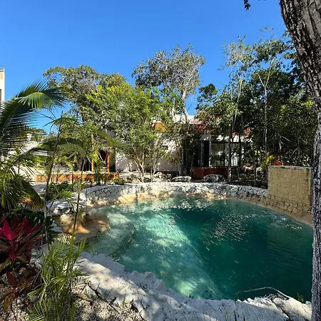 Eco-friendly En La Selva De Villa