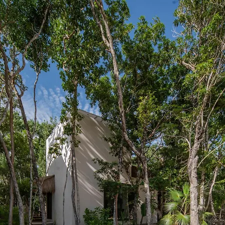 Villa Eco-friendly En La Selva De