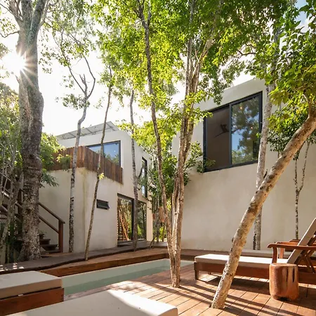 Eco-friendly En La Selva De Villa *