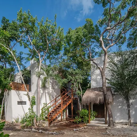 Eco-friendly En La Selva De * Tulum