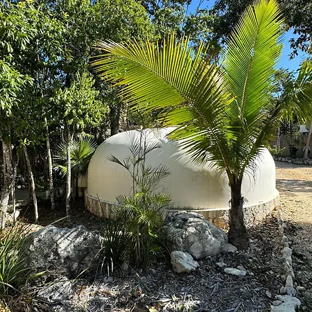Eco-friendly En La Selva De Villa *