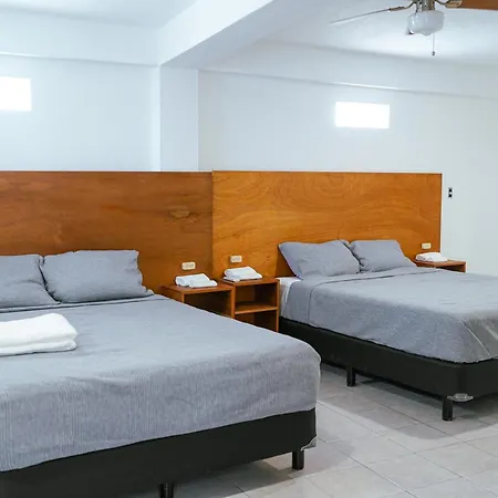 Complejo En Avenida Apartment