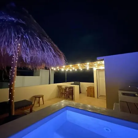 Tropical Oasis Edition