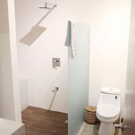 Apartment 2br Plunge Pool In