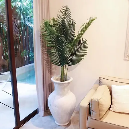 2br Plunge Pool In Tulum