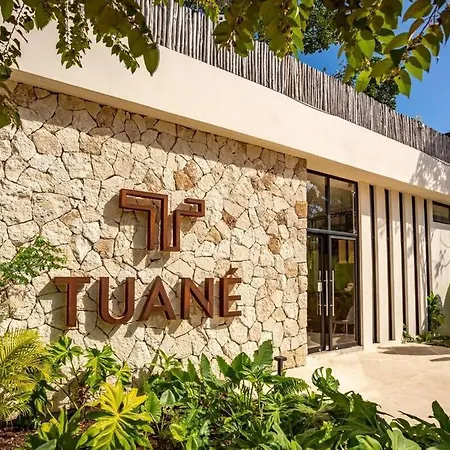 Apartment Tuane Experience Penthouses *