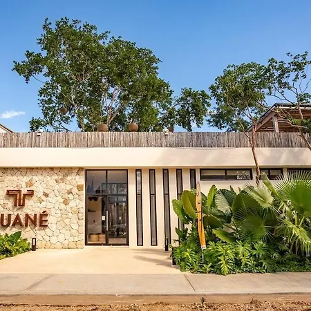 Apartment Tuane Experience Penthouses