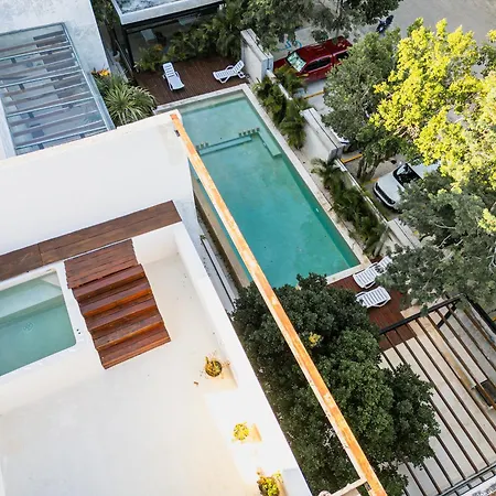 Beautiful 3 Bdr, 3 Ba Modern Minutes From Tulum