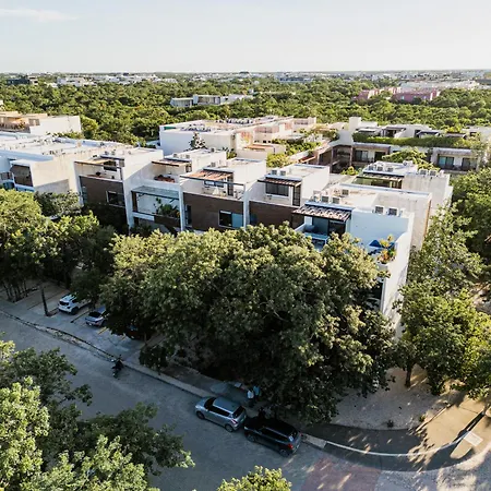 Beautiful 3 Bdr, 3 Ba Modern Minutes From Tulum