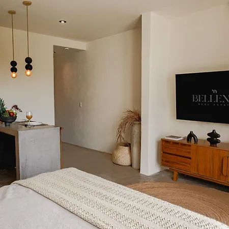 Cozy New Modern Studio In *