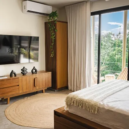 Apartment Cozy New Modern Studio In
