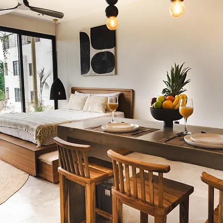Cozy New Modern Studio In Apartment *