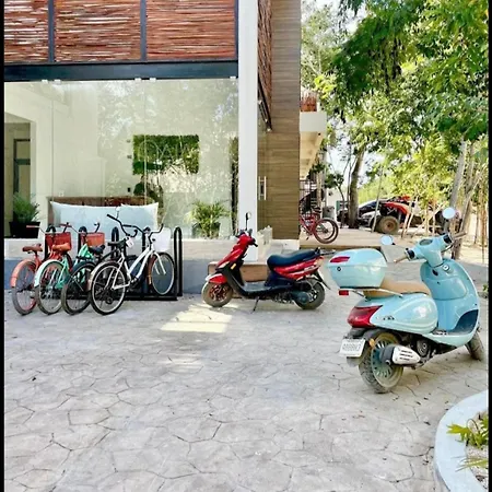 Jungle Oasis Studio: Beachside Retreat With Pool And Amenities Apartment