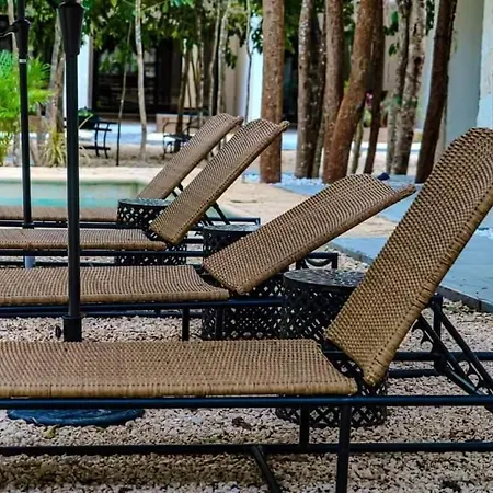 Apartment Jungle Oasis Studio: Beachside Retreat With Pool And Amenities