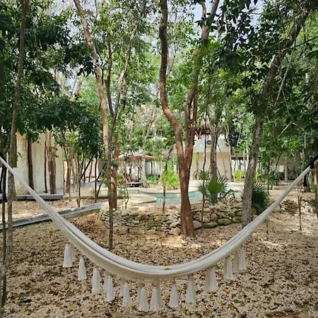 Jungle Oasis Studio: Beachside Retreat With Pool And Amenities *