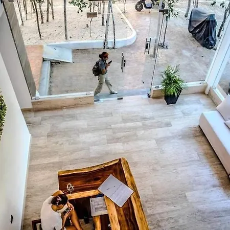 Jungle Oasis Studio: Beachside Retreat With Pool And Amenities Apartment *