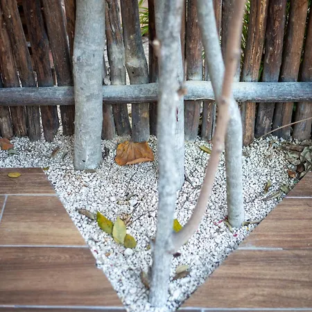 La Veleta Getaway At Asana Leaf House Sleeps 12 Holiday home