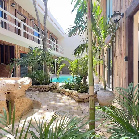 Harmonia * Tulum