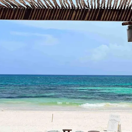 Apartment 5star Luxury Condo-cenote And Infinity Pool-new Tulum