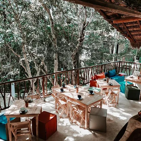 Divine Embodi Retreat * Tulum