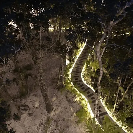 Resort Divine Embodi Retreat Tulum