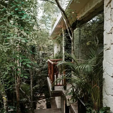 Divine Embodi Retreat Resort *