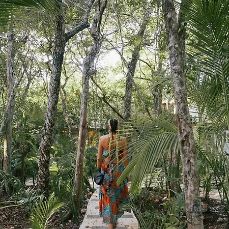 Divine Embodi Retreat Tulum