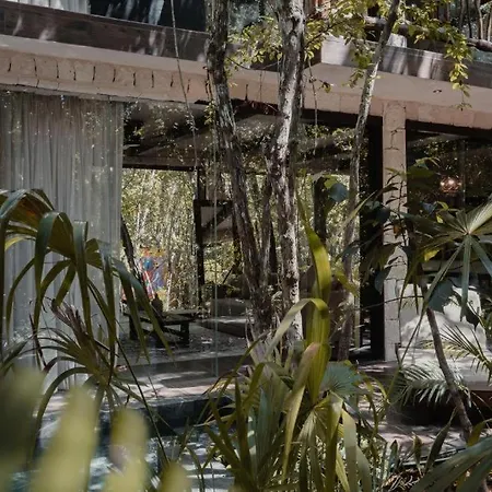 Divine Embodi Retreat Resort Tulum
