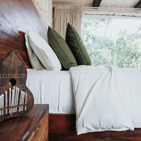 Divine Embodi Retreat Tulum