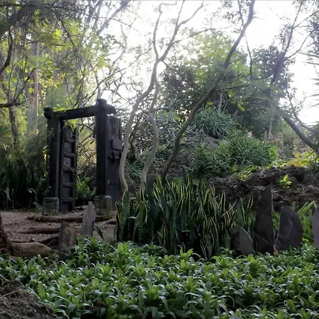 Divine Embodi Retreat Resort
