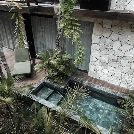 Divine Embodi Retreat Resort Tulum