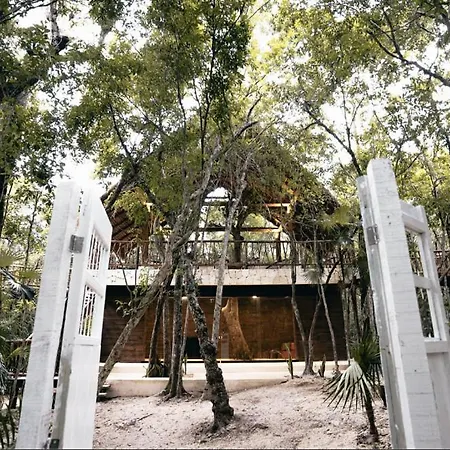 Resort Divine Embodi Retreat Tulum