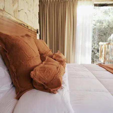Resort Divine Embodi Retreat Tulum