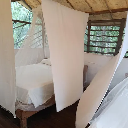 Rancho Los Jaguares Jungle Retreat Tulum