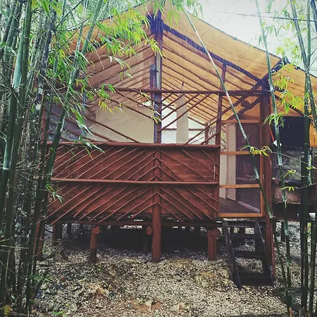 Campsite Rancho Los Jaguares Jungle Retreat Tulum