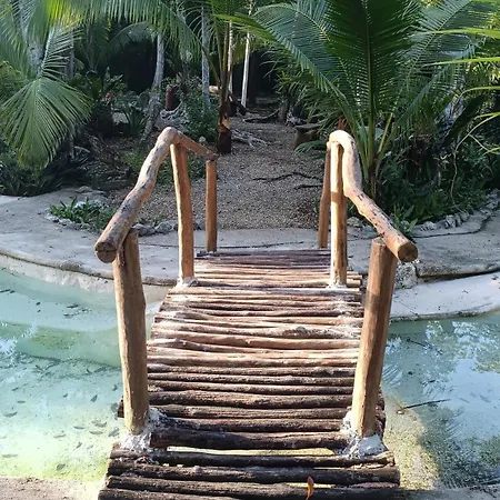Rancho Los Jaguares Jungle Retreat