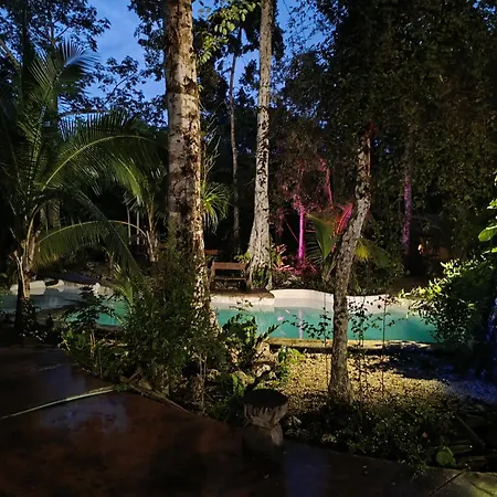 Rancho Los Jaguares Jungle Retreat Campsite