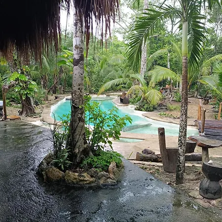 Rancho Los Jaguares Jungle Retreat Campsite *