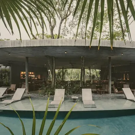 Apartment Barneys Ny Black Penthouse Pool Concierge Tulum