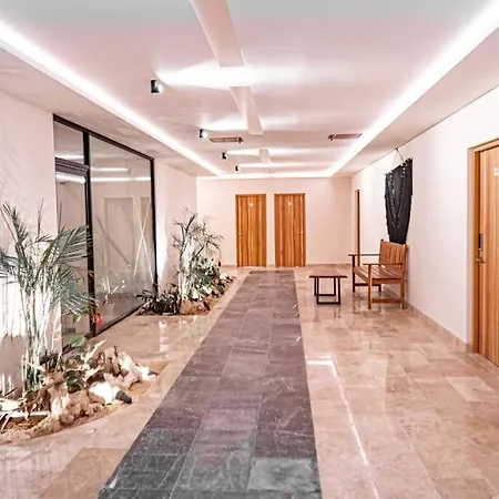 Level With Minifridge Microwave And Splash Pool Apartment *