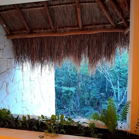 Naajal Paradise Aparthotel