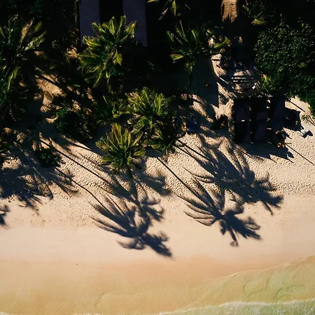 Hotel Libelula Beachfront