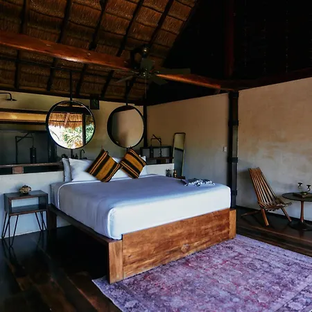 Libelula Beachfront