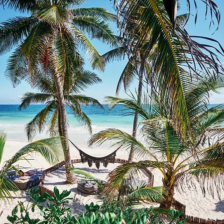 Libelula Beachfront Hotel