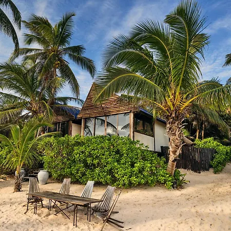Libelula Beachfront